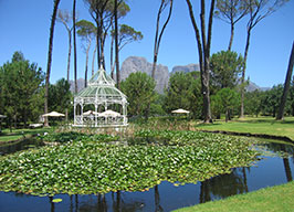 Gorgeous Boschendal winery close to Franschhoek