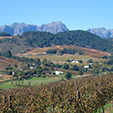 Mitten im Stellenbosch Weingebiet