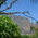 Tafelberg, Blick vom Kirstenbosch Botanical Garden