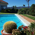 'View over cactus and pool